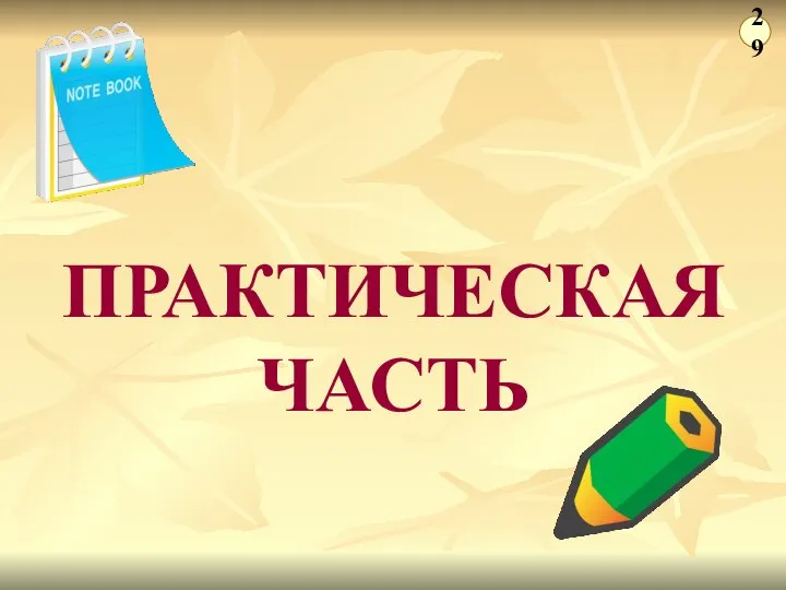 ПРАКТИЧЕСКАЯ ЧАСТЬ 29