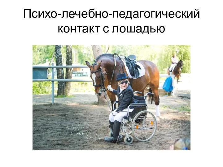 Психо-лечебно-педагогический контакт с лошадью