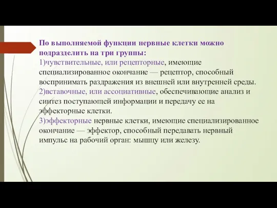 По выполняемой функции нервные клетки можно подразделить на три группы: 1)чувствительные, или