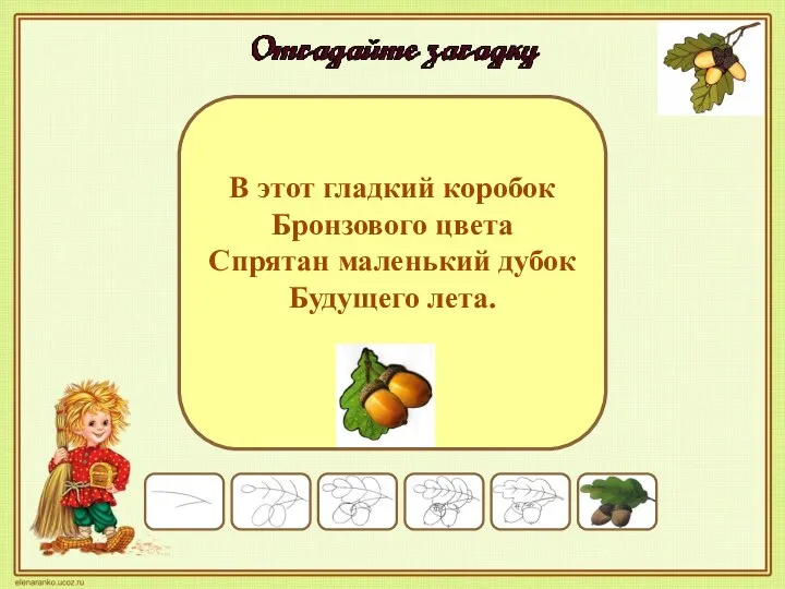 В этот гладкий коробок Бронзового цвета Спрятан маленький дубок Будущего лета.