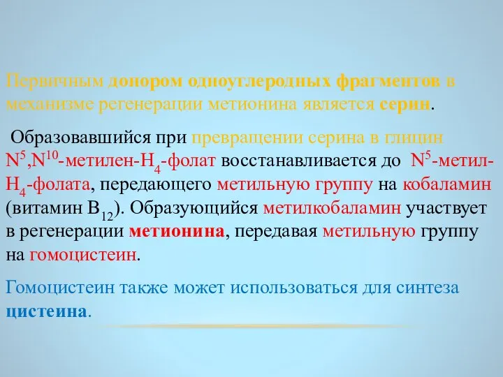 Первичным донором одноуглеродных фрагментов в механизме регенерации метионина является серин. Образовавшийся при