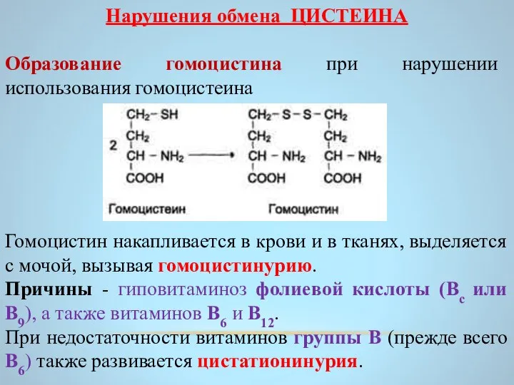 Нарушения обмена ЦИСТЕИНА Образование гомоцистина при нарушении использования гомоцистеина Гомоцистин накапливается в