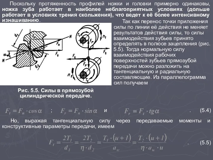 Поскольку протяженность профилей ножки и головки примерно одинаковы, ножка зуба работает в