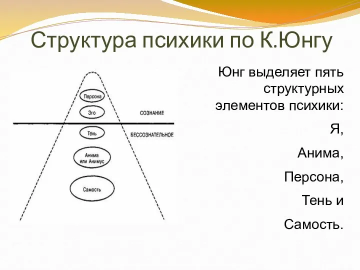 Структура психики по К.Юнгу Юнг выделяет пять структурных элементов психики: Я, Анима, Персона, Тень и Самость.