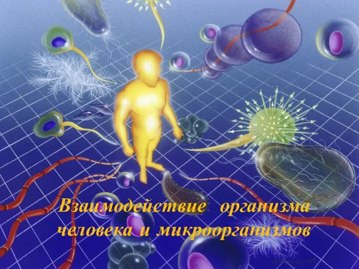 Взаимодействие организма человека и микроорганизмов