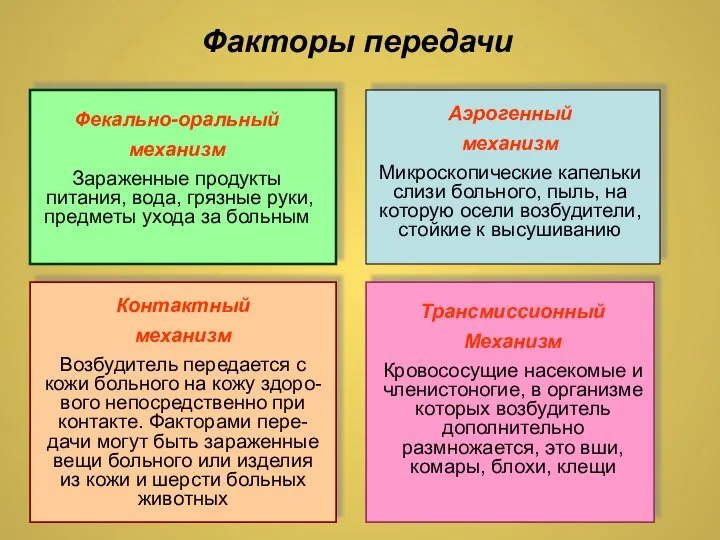 Факторы передачи Фекально-оральный механизм Зараженные продукты питания, вода, грязные руки, предметы ухода