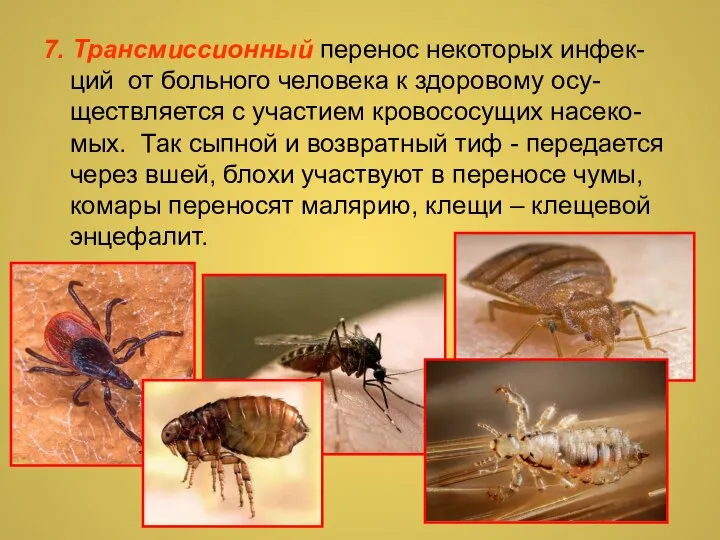 7. Трансмиссионный перенос некоторых инфек-ций от больного человека к здоровому осу-ществляется с