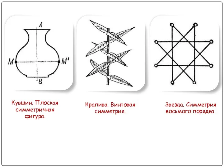 Кувшин. Плоская симметричная фигура. Крапива. Винтовая симметрия. Звезда. Симметрия восьмого порядка.