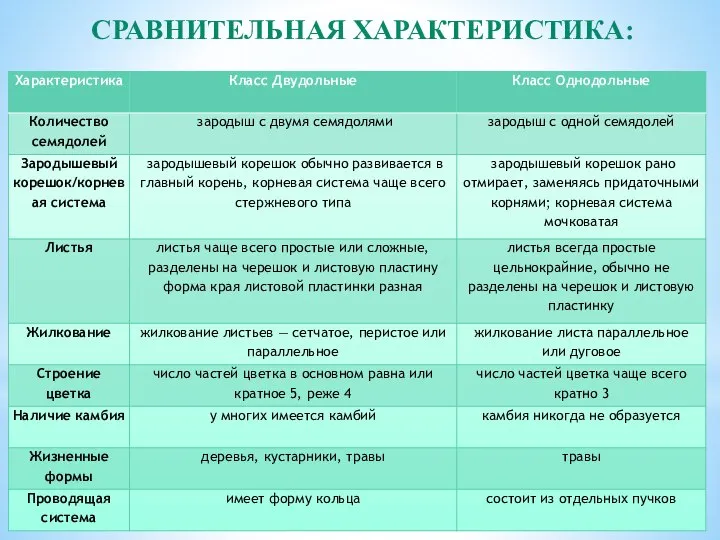 СРАВНИТЕЛЬНАЯ ХАРАКТЕРИСТИКА: