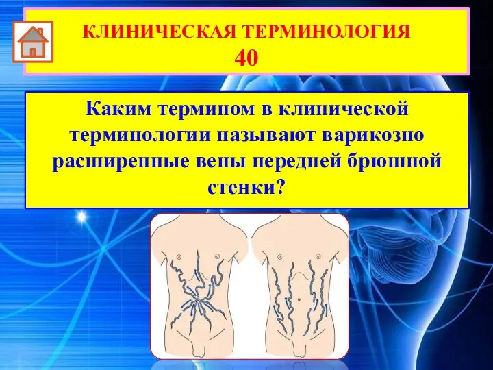 Каким термином в клинической терминологии называют варикозно расширенные вены передней брюшной стенки? КЛИНИЧЕСКАЯ ТЕРМИНОЛОГИЯ 40