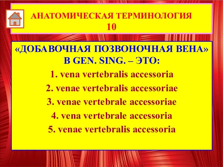 «ДОБАВОЧНАЯ ПОЗВОНОЧНАЯ ВЕНА» В GEN. SING. – ЭТО: 1. vena vertebralis accessoria