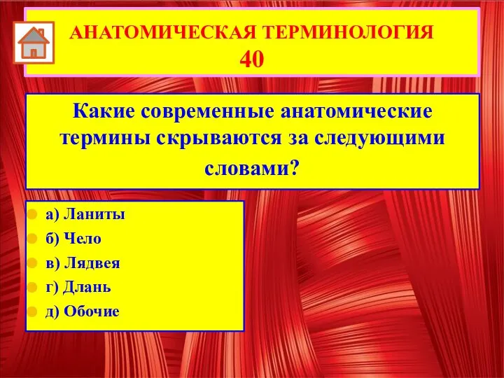 АНАТОМИЧЕСКАЯ ТЕРМИНОЛОГИЯ 40 Какие современные анатомические термины скрываются за следующими словами? а)