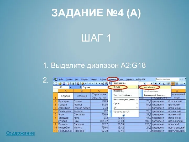 ЗАДАНИЕ №4 (А) ШАГ 1 1. Выделите диапазон А2:G18 2. Содержание