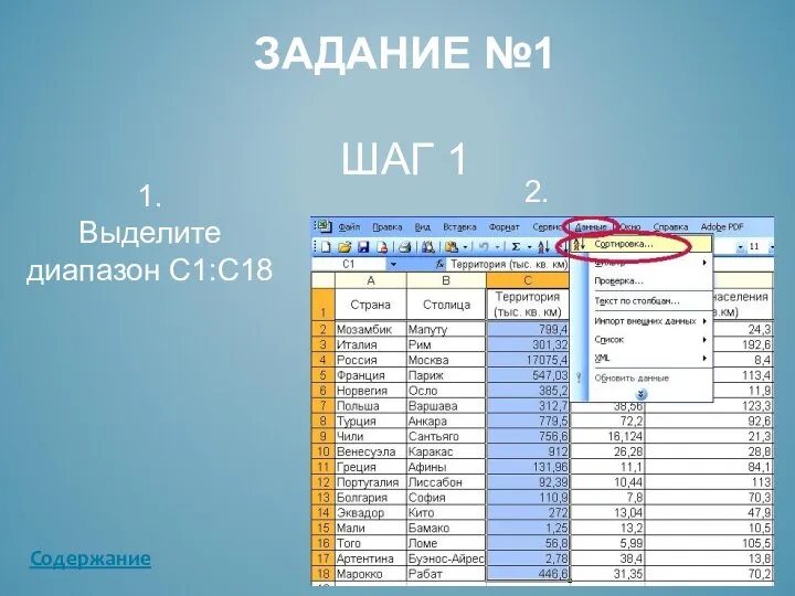 ЗАДАНИЕ №1 ШАГ 1 1. Выделите диапазон С1:С18 2. Содержание