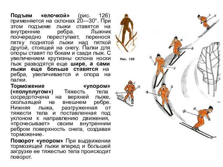 Подъем «елочкой» (рис. 126) применяется на склонах 20—30°. При этом подъеме лыжи