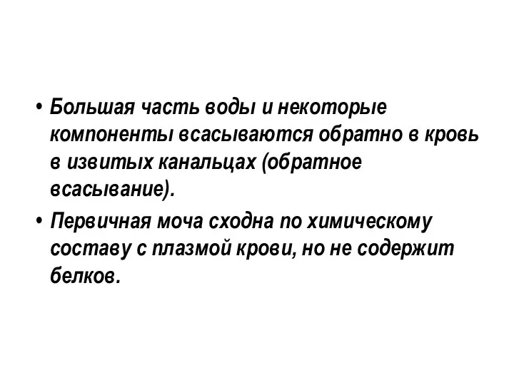 Большая часть воды и некоторые компоненты всасываются обратно в кровь в извитых