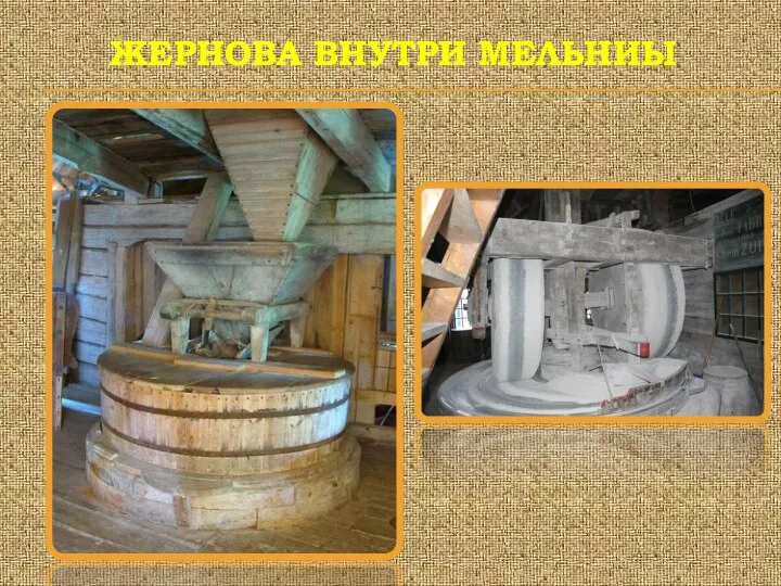 ЖЕРНОВА ВНУТРИ МЕЛЬНИЫ