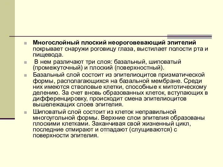 Многослойный плоский неороговевающий эпителий покрывает снаружи роговицу глаза, выстилает полости рта и