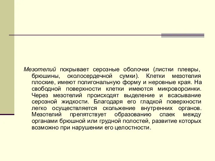 Мезотелий покрывает серозные оболочки (листки плевры, брюшины, околосердечной сумки). Клетки мезотелия плоские,