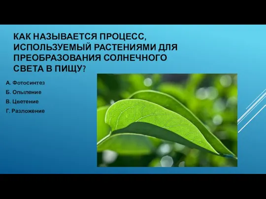 КАК НАЗЫВАЕТСЯ ПРОЦЕСС, ИСПОЛЬЗУЕМЫЙ РАСТЕНИЯМИ ДЛЯ ПРЕОБРАЗОВАНИЯ СОЛНЕЧНОГО СВЕТА В ПИЩУ? А.