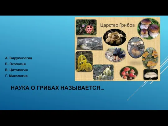 НАУКА О ГРИБАХ НАЗЫВАЕТСЯ… А. Вирусология Б. Экология В. Цитология Г. Микология