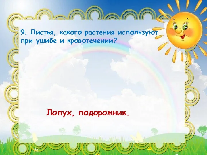 9. Листья, какого растения используют при ушибе и кровотечении? Лопух, подорожник.