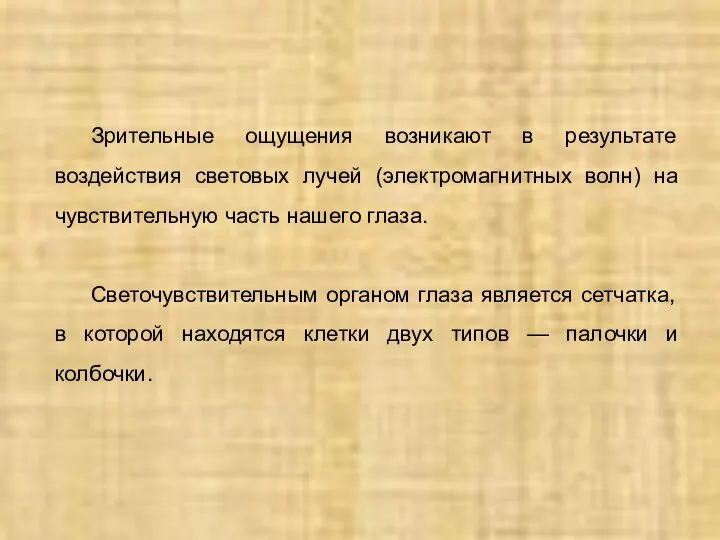 Зрительные ощущения возникают в результате воздействия световых лучей (электромагнитных волн) на чувствительную