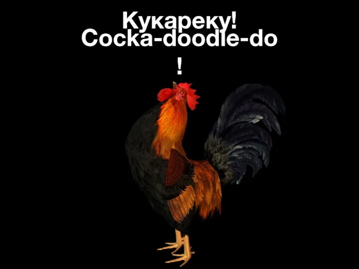 Кукареку! Сocka-doodle-do!