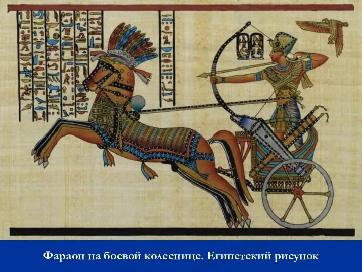 Фараон на боевой колеснице. Египетский рисунок