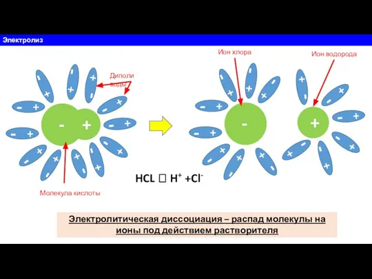 Электролиз - + - + - - + HCL ⮀ H+ +Cl-