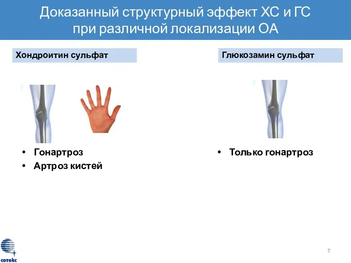 Доказанный структурный эффект ХС и ГС при различной локализации ОА Хондроитин сульфат