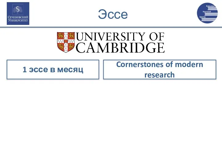 Эссе 1 эссе в месяц Cornerstones of modern research