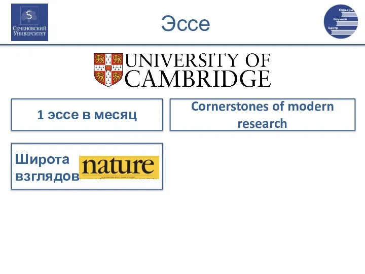 Эссе 1 эссе в месяц Cornerstones of modern research Широта взглядов