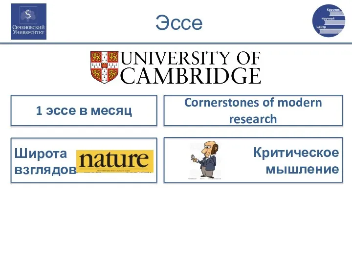 Эссе 1 эссе в месяц Cornerstones of modern research Широта взглядов Критическое мышление