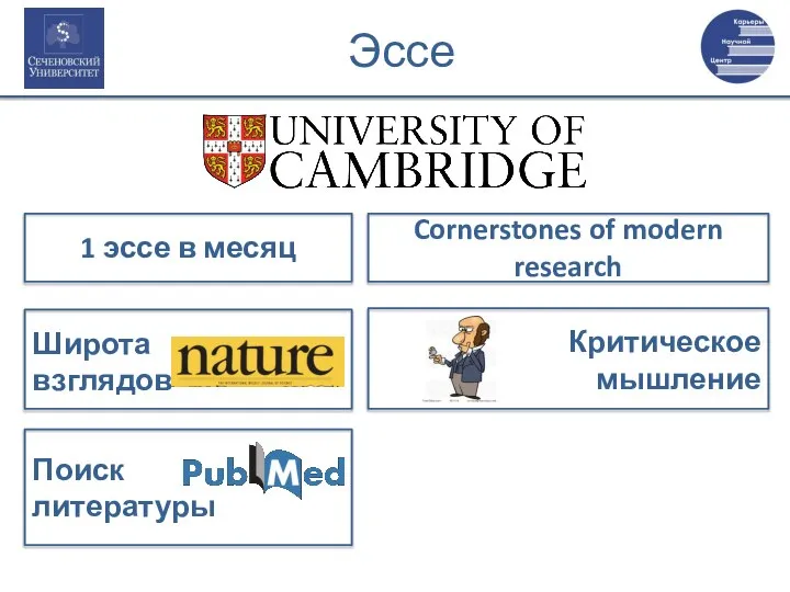 Эссе 1 эссе в месяц Cornerstones of modern research Широта взглядов Критическое мышление Поиск литературы