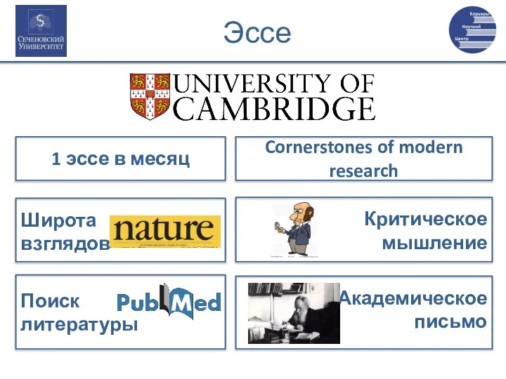 Эссе 1 эссе в месяц Cornerstones of modern research Широта взглядов Критическое