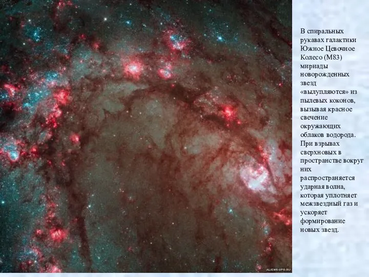 В спиральных рукавах галактики Южное Цевочное Колесо (М83) мириады новорожденных звезд «вылупляются»