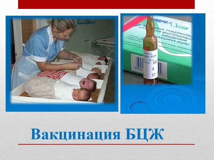 Вакцинация БЦЖ