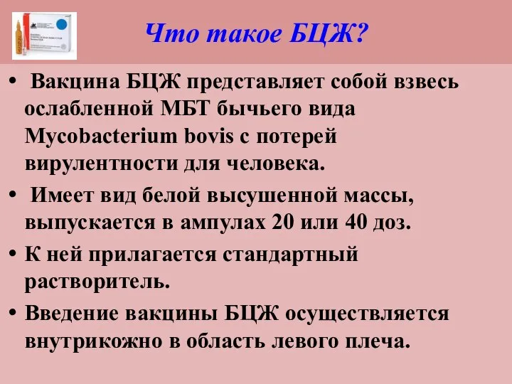 Что такое БЦЖ? Вакцина БЦЖ представляет собой взвесь ослабленной МБТ бычьего вида