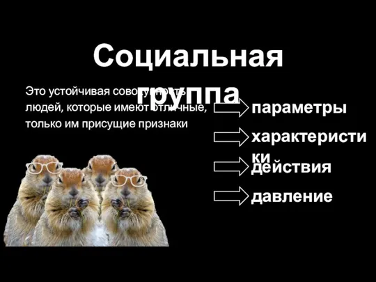 Социальная группа Это устойчивая совокупность людей, которые имеют отличные, только им присущие