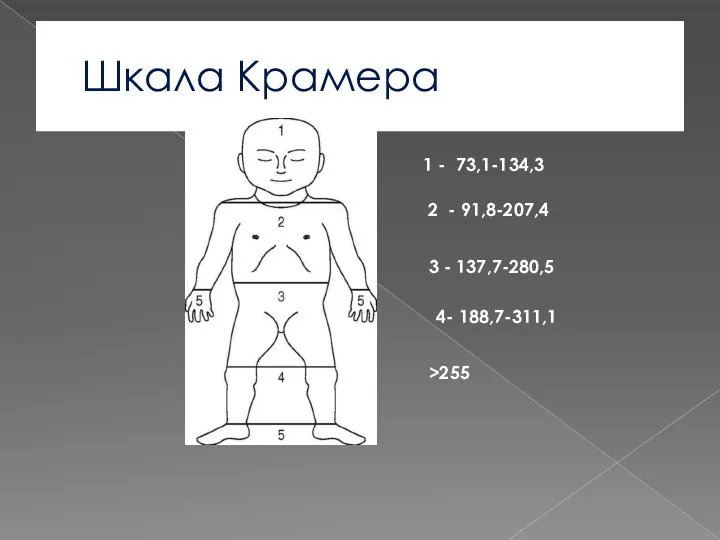 Шкала Крамера 1 - 73,1-134,3 2 - 91,8-207,4 3 - 137,7-280,5 4- 188,7-311,1 >255