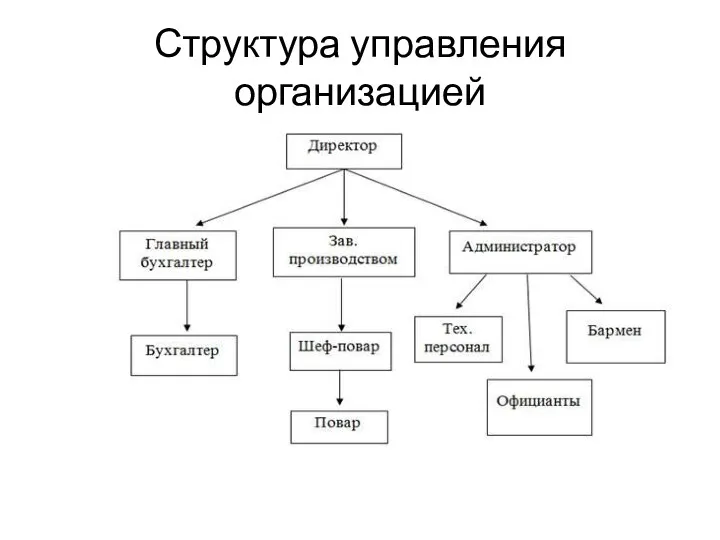 Структура управления организацией