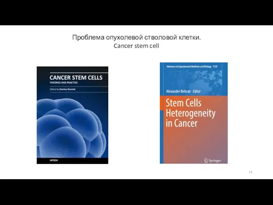 Проблема опухолевой стволовой клетки. Cancer stem cell