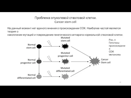 На данный момент нет единого мнения о происхождении СОК. Наиболее частой является