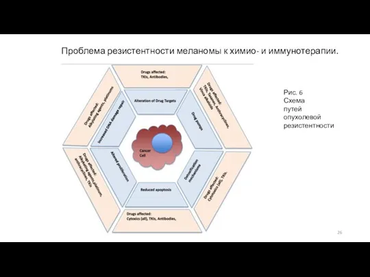 Проблема резистентности меланомы к химио- и иммунотерапии. Рис. 6 Схема путей опухолевой резистентности