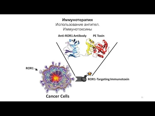Иммунотерапия Использование антител. Иммунотоксины