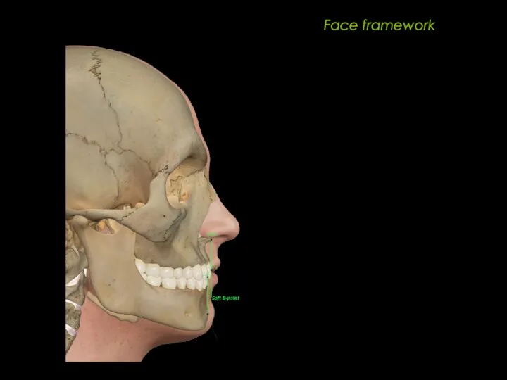 Face framework