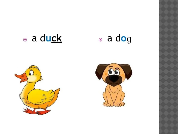 a duck a doɡ