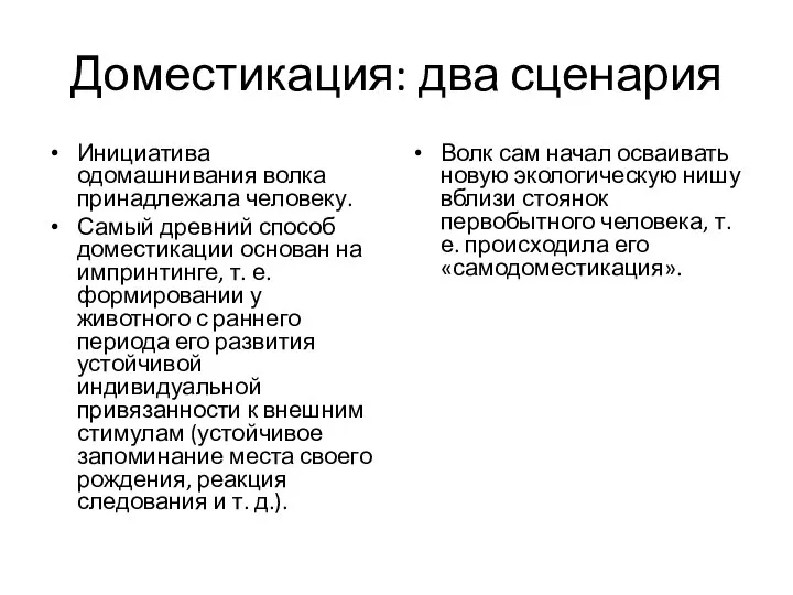 Доместикация: два сценария Инициатива одомашнивания волка принадлежала человеку. Самый древний способ доместикации