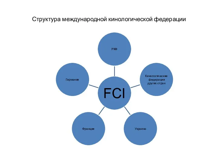 Структура международной кинологической федерации